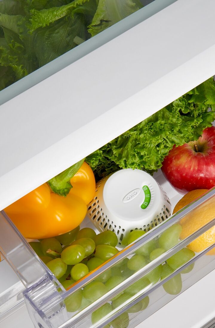 greensaver-standing-crisper-insert-1-pc-s2 gg_111212800_1b.jpg