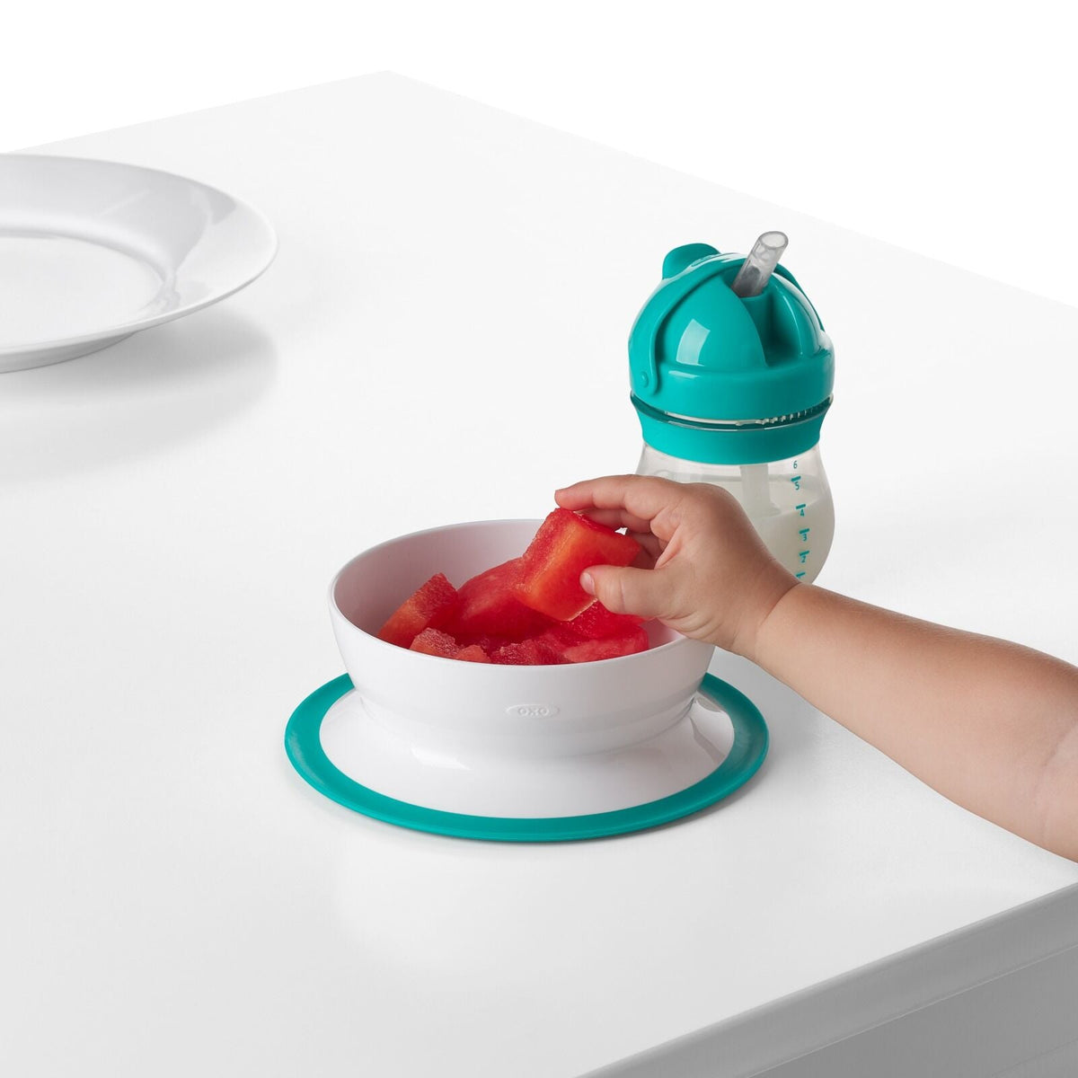 stick-and-stay-suction-bowl-b1 tot_61120600_4i.jpg