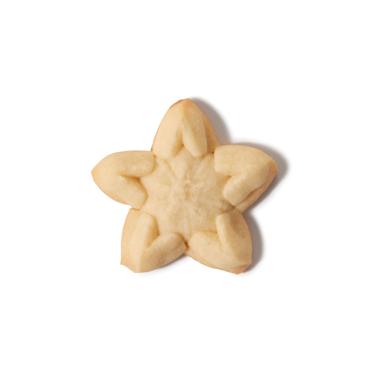christmas-cookie-press-disk-set-p6 11177800_6_-star.jpg