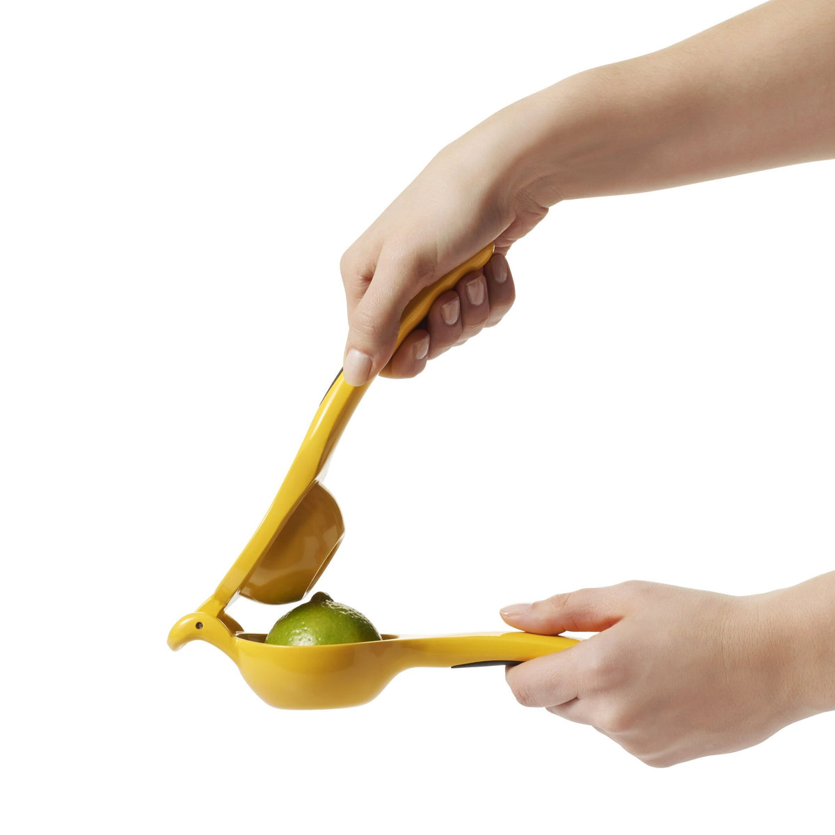 citrus-squeezer-i5 gg_1057962_4a.jpg