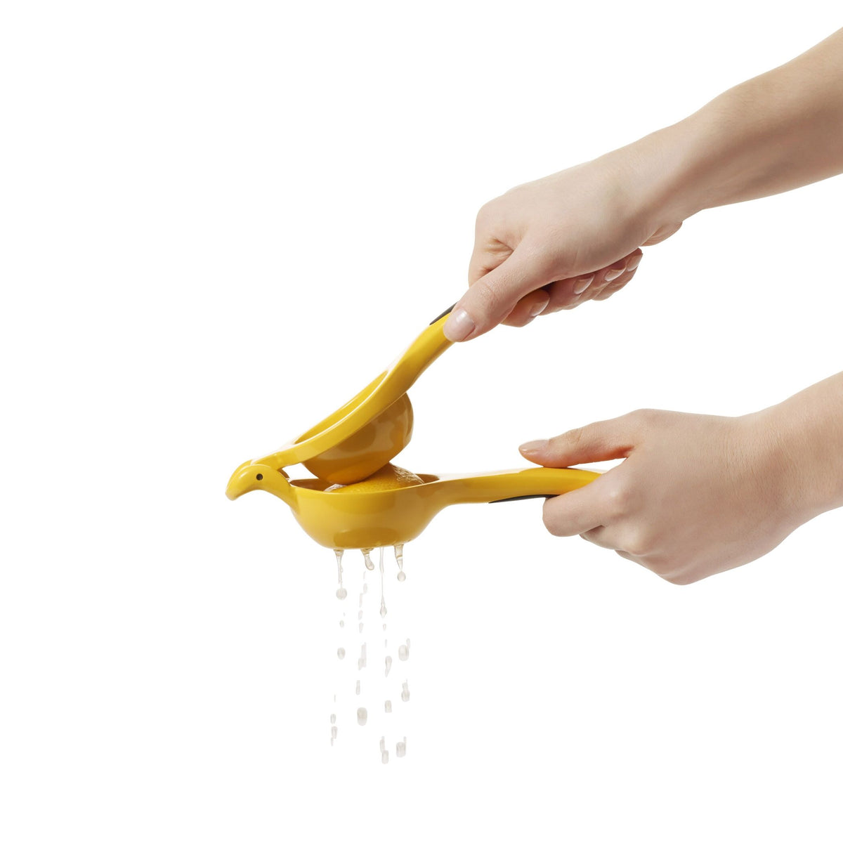 citrus-squeezer-i5 gg_1057962_4b.jpg