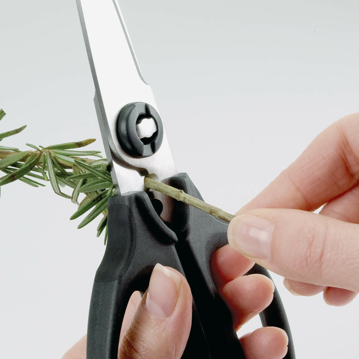 kitchen-and-herb-scissors-h5 gg_1072121_3_1_.jpg