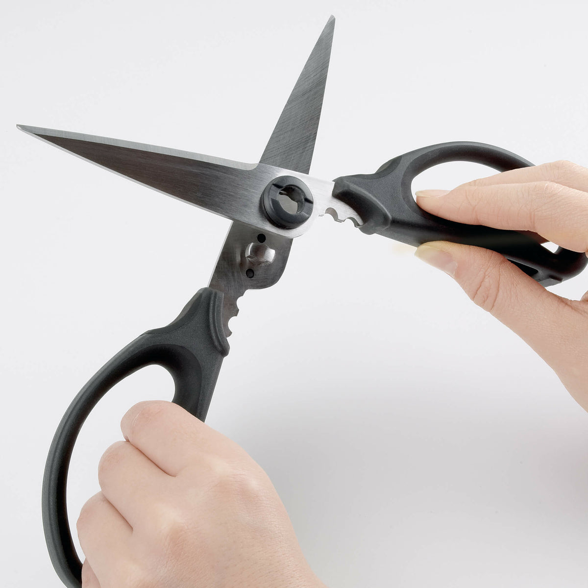 kitchen-and-herb-scissors-h5 gg_1072121_4_1_.jpg
