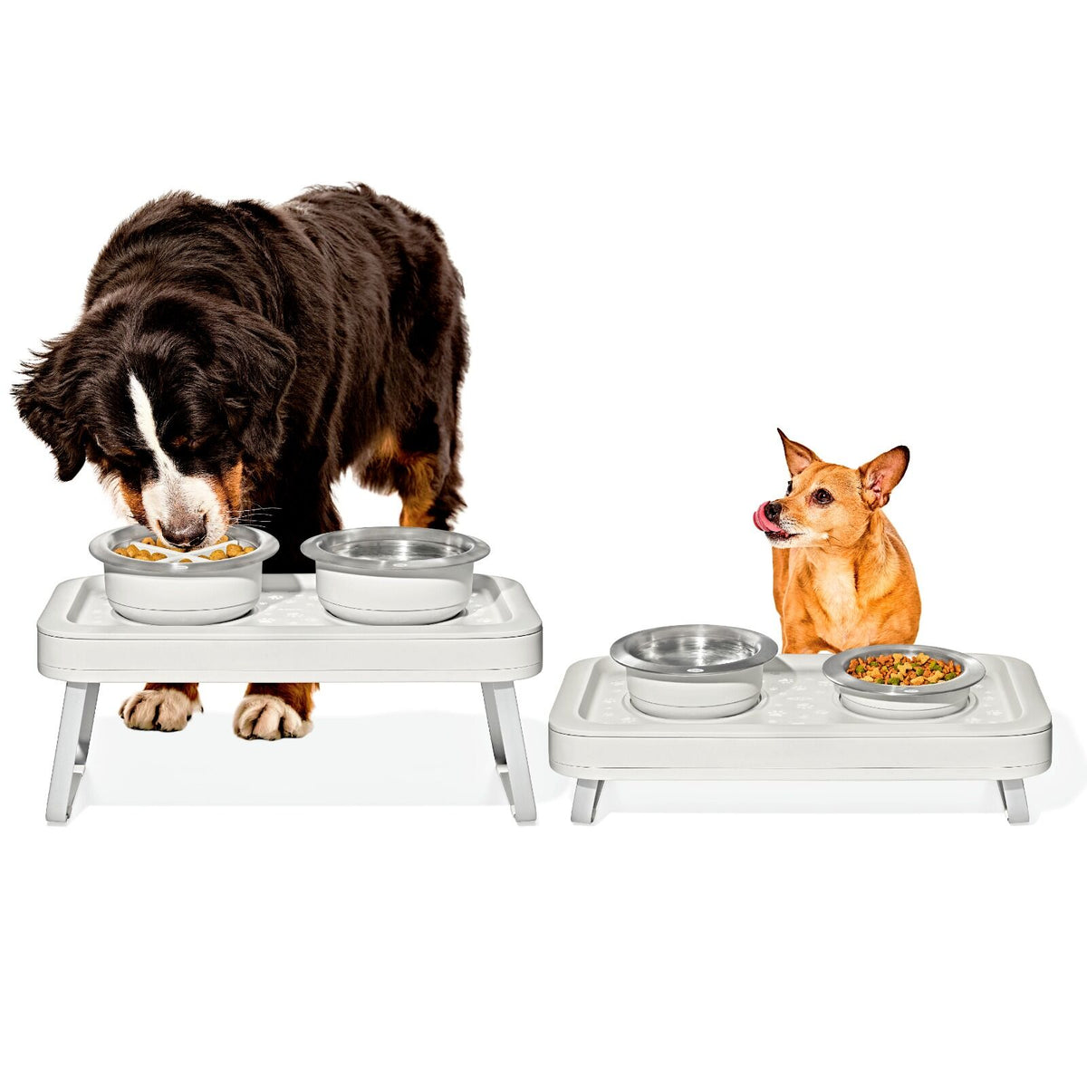 oxo-pet-adjustable-elevated-feeder-u1 pet_7102300_elevated-feeder_pdp_01.jpeg