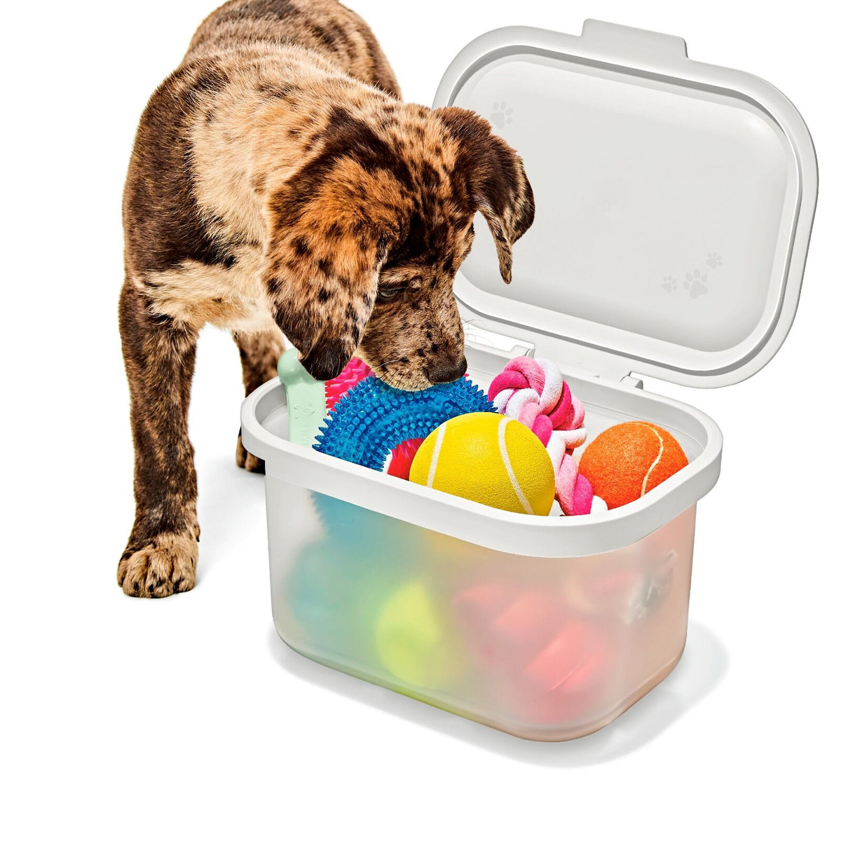 oxo-pet-multi-purpose-container-k2 pet_7301300_multi-purpose-container_pdp_06.jpeg