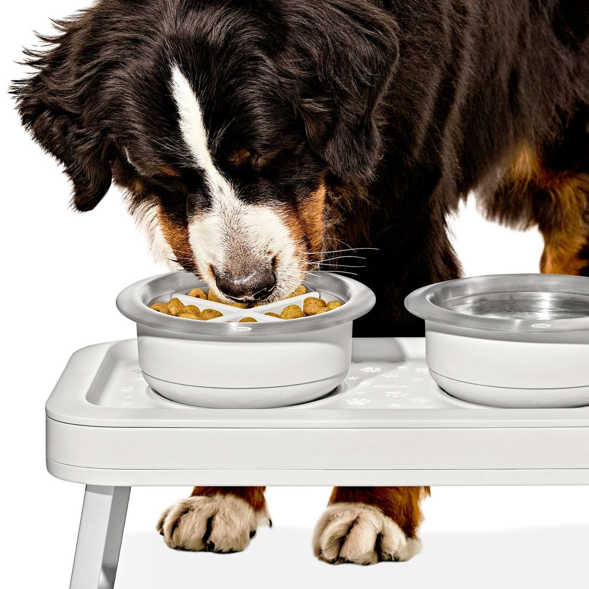 oxo-pet-easy-clean-slow-feeder-medium-2-cups-489-ml-t0 pet_slow-feeder-medium-large_pdp_02_1.jpeg