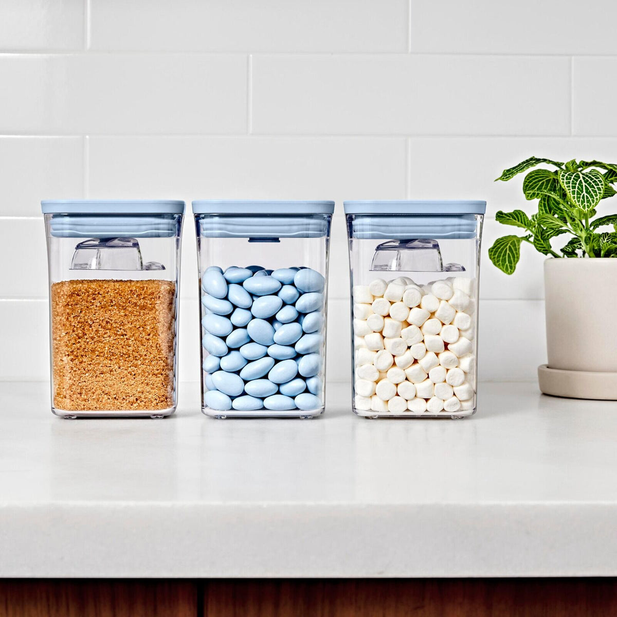 3-piece-pop-container-set-with-mini-scoops-l5 pop_3pc-set-sky-blue_pdp_02.jpg
